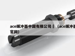 ace缓冲器中国有限公司	（ace缓冲器官网）